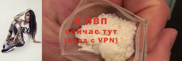 2c-b Белокуриха