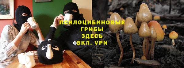 стаф Балахна